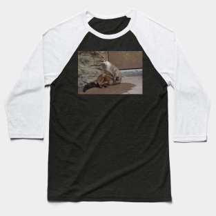 River Otter Baseball T-Shirt